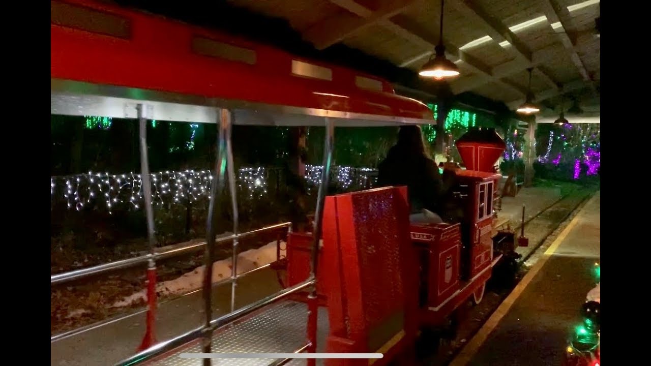 Denver Zoo Train - Zoo Lights 2019