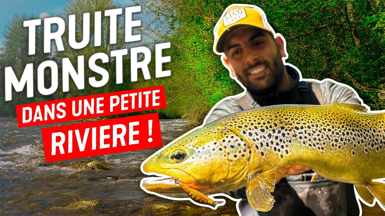 PETITE rivi&egrave;re, GROSSE TRUITE&hellip; On &eacute;tait pas pr&ecirc;t !