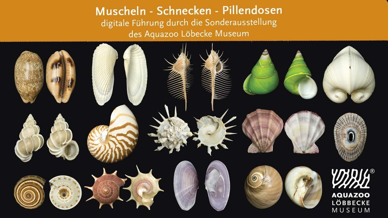 Exklusive Führung durch die Sonderausstellung 