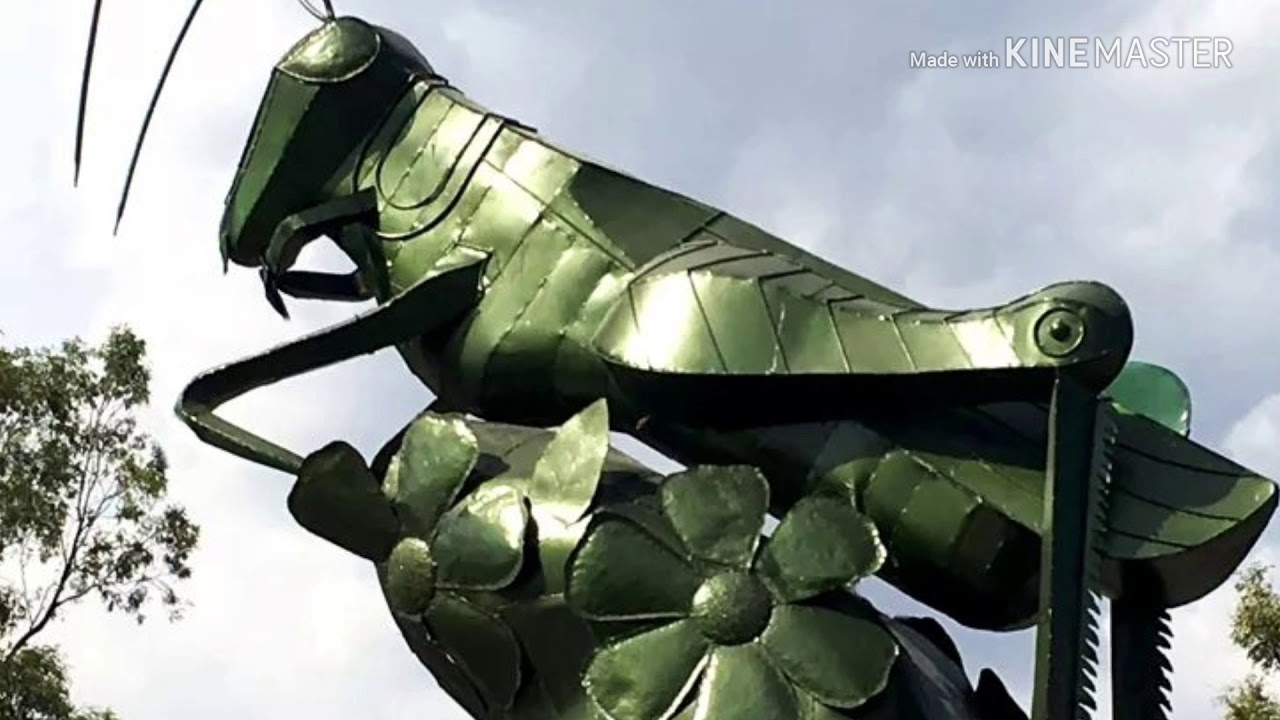 SIEMPRE A LA ORDEN         EXCONVICTO DE DURANGO