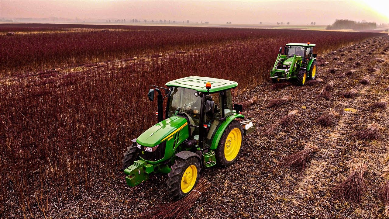 Koszenie Wikliny 2021 ☆ 2x John Deere 5075 E ☆ Podkarpacie ☆