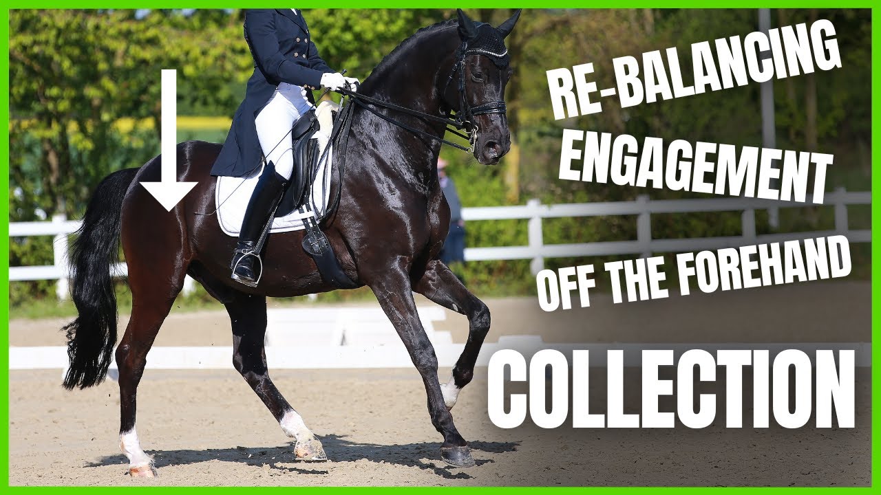 Improve COLLECTION, BALANCE & ENGAGEMENT from The Complete Online Dressage Course | How To Dressage