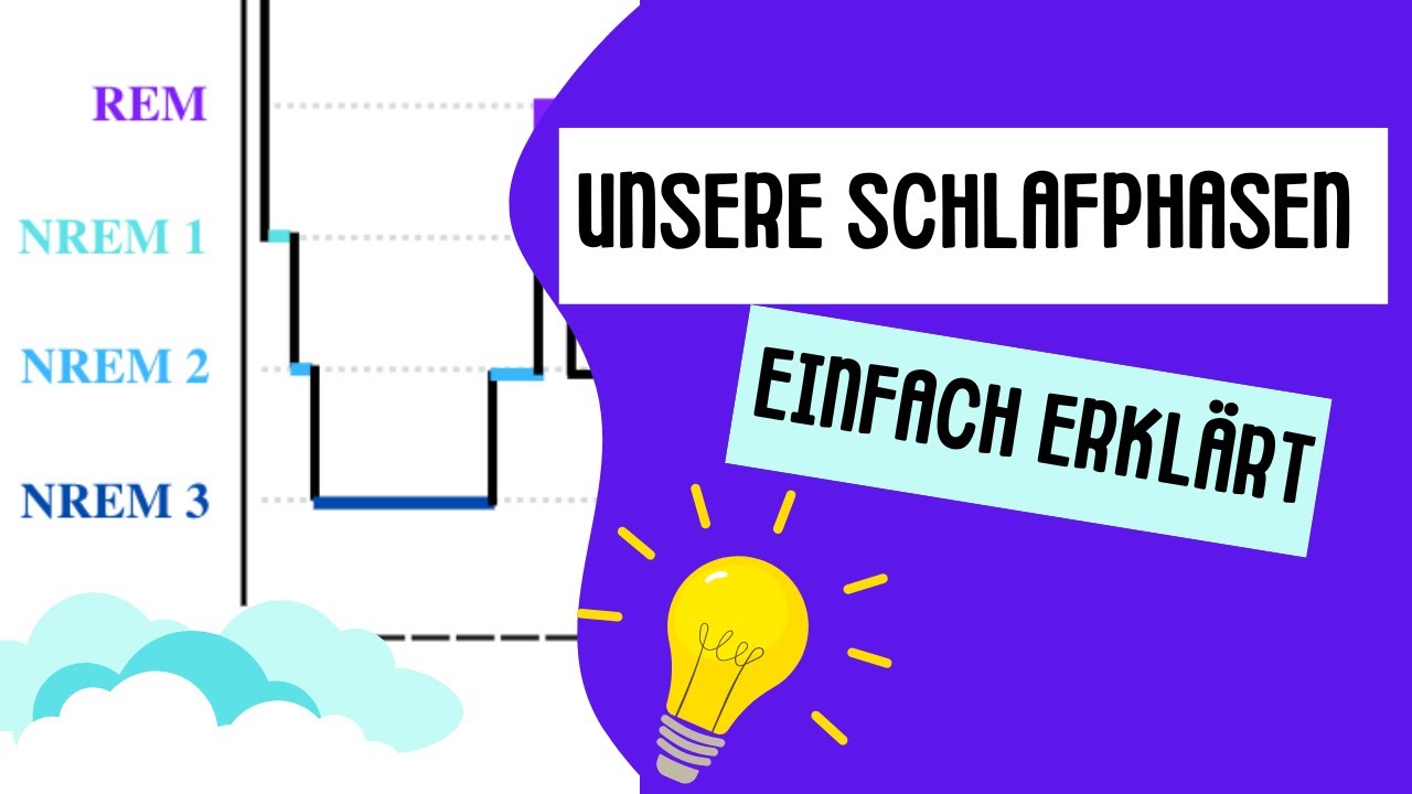 Unsere 4 Schlafphasen | Einfach erklärt