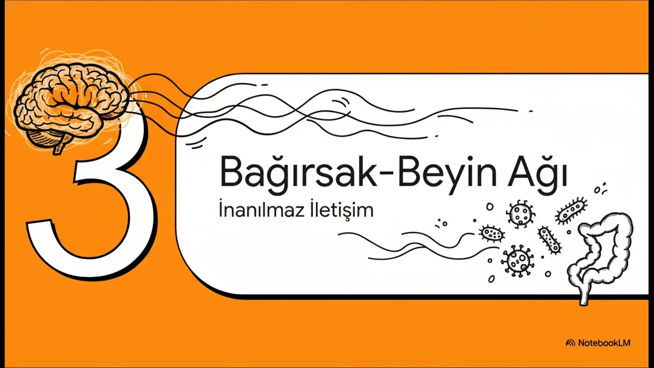 Bağırsak   İkinci Beyin  mi