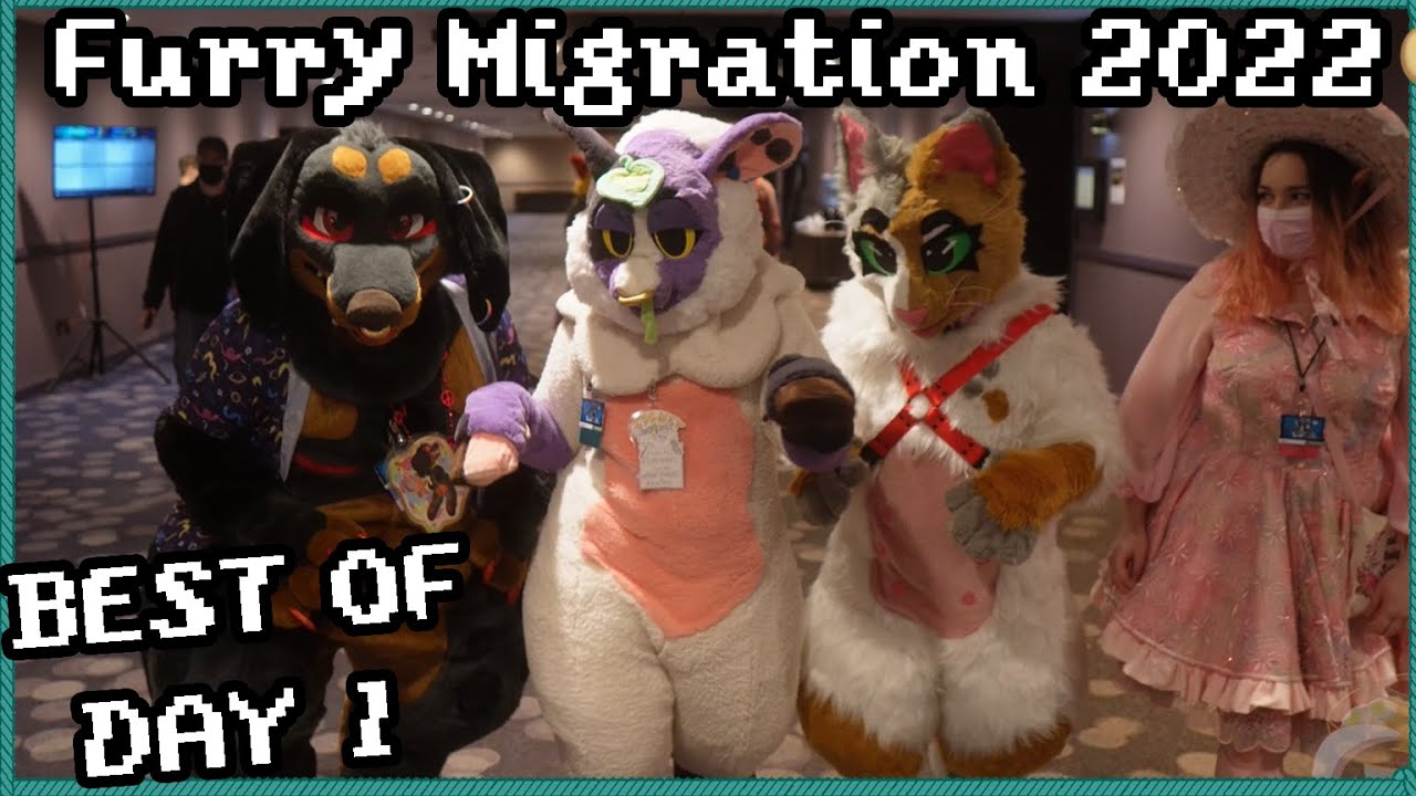 [4k] Best of Furry Migration 2022 Day 1