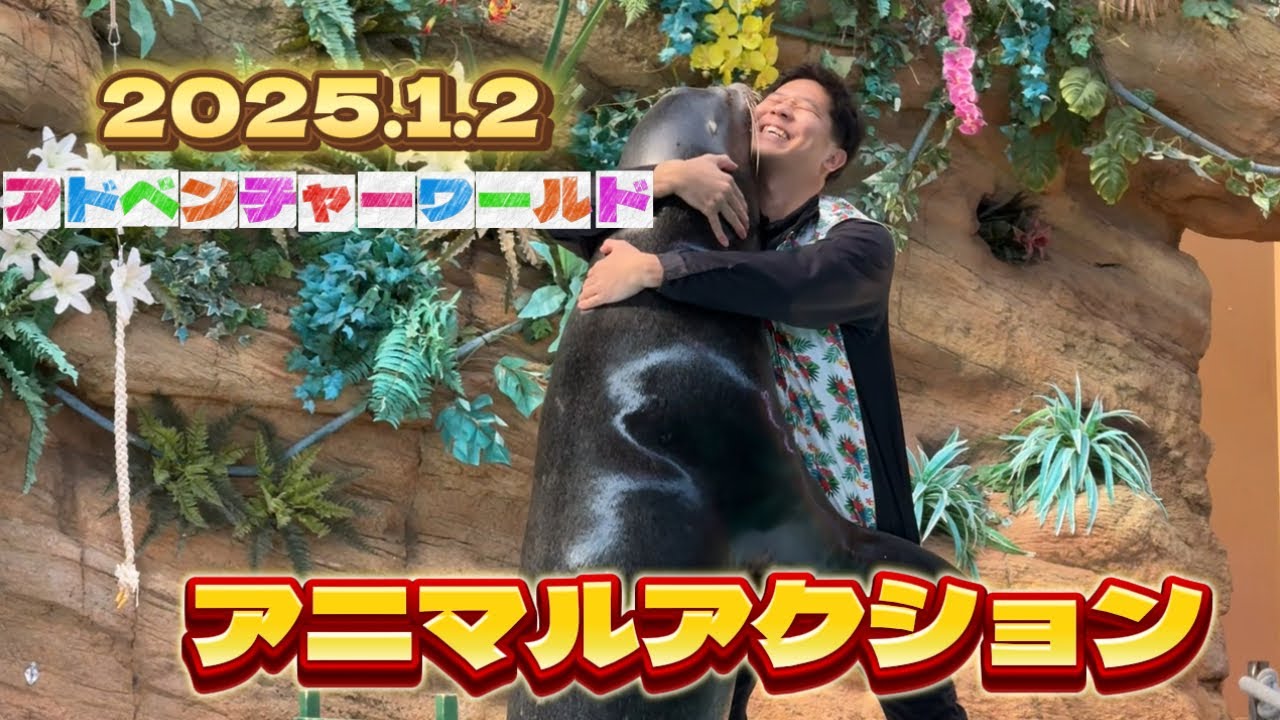 アニマルアクション 2025.1.2 【アドベンチャーワールド】 #動物 #アドベンチャーワールド #海獣