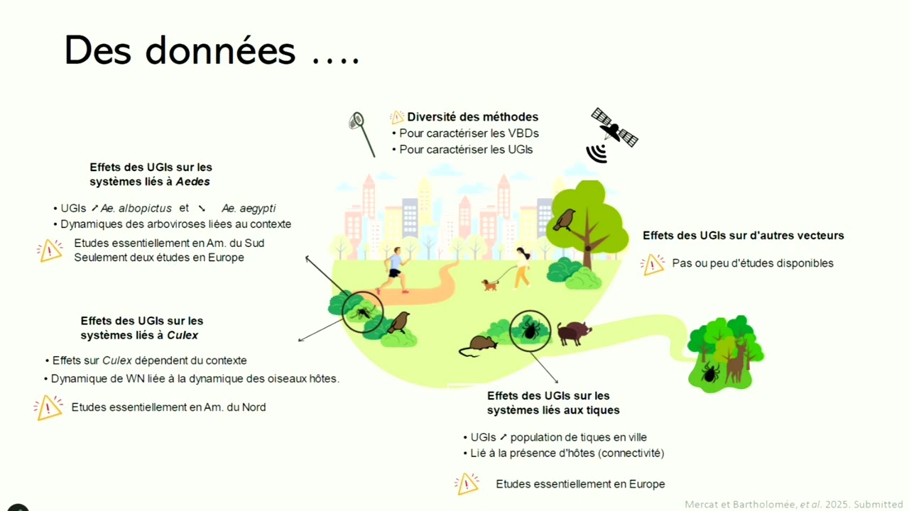 Végétalisation urbaine et risques vectoriels - Florence FOURNET