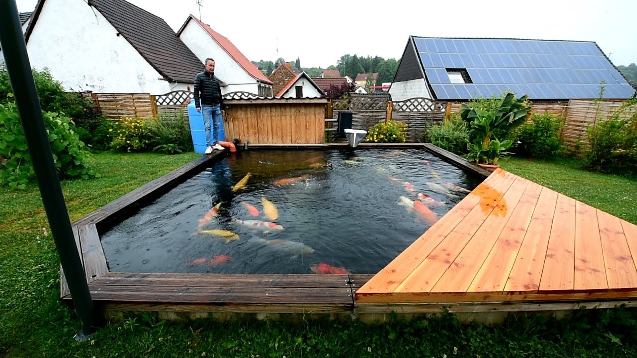 Modern Koi Blog #3312 – Tobias' selbstgebauter 25.000 Liter Teich mit tollem Wasser
