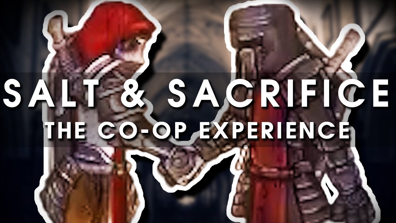 An idiot&rsquo;s guide to Salt and Sacrifice coop