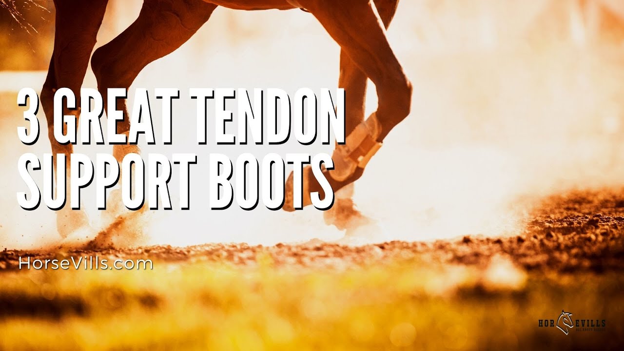 The 3 Best Tendon Boots For Horses