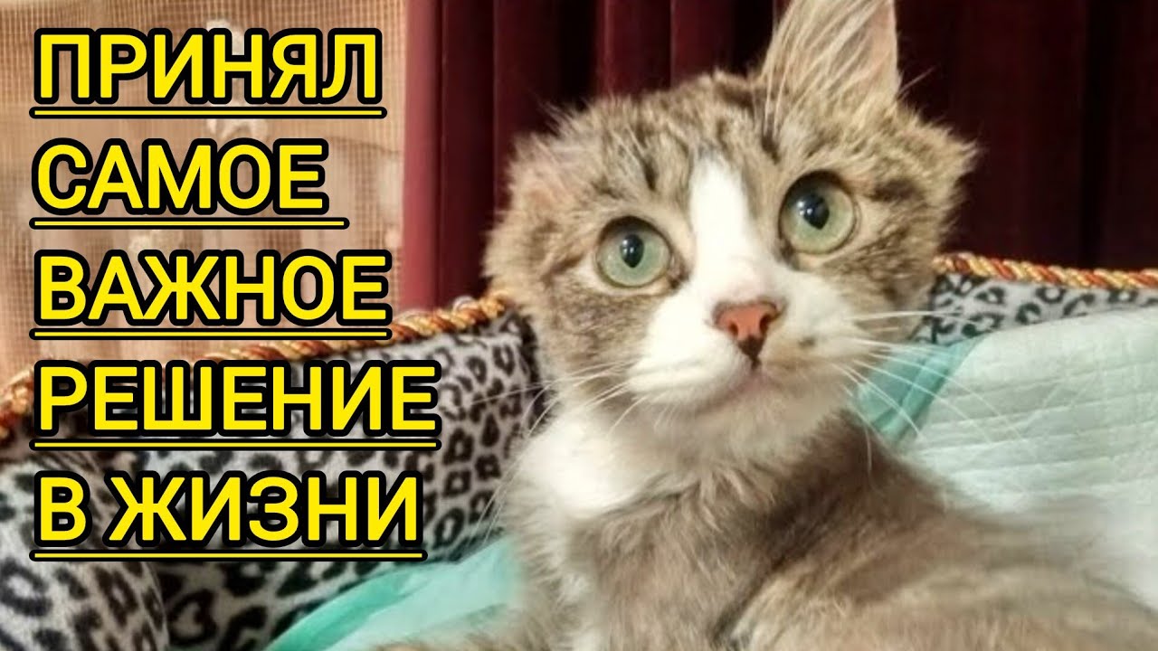 ТОГДА Я ПОНЯЛ ЧТО ЗАБЕРУ ЕГО