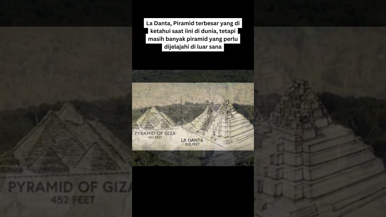 La danta Pyramid #shorts #shortvideo