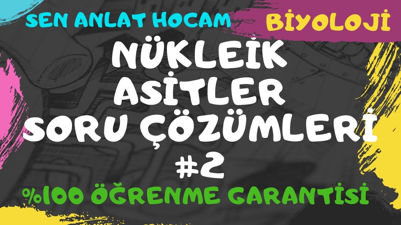 NÜKLEİK ASİTLER SORU ÇÖZÜMLERİ 2/ DNA ve RNA TEST ÇÖZÜMLERİ // ✅
