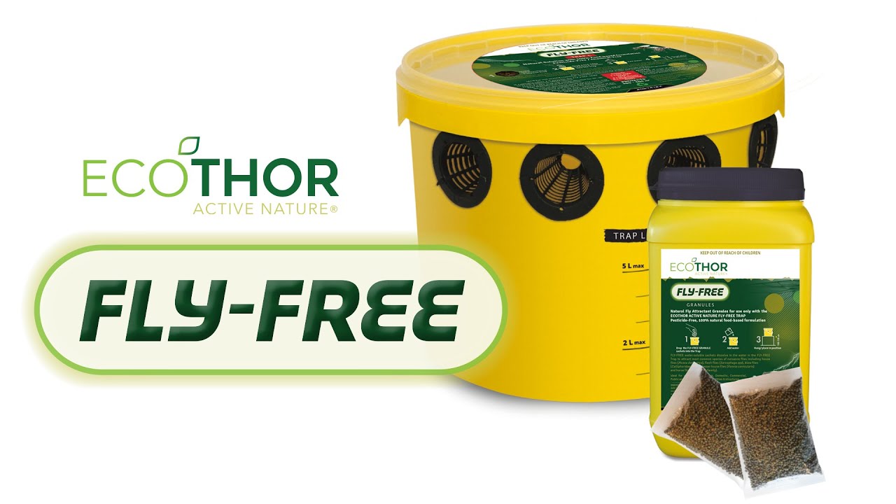 Ecothor FLY-FREE Trap Demonstration