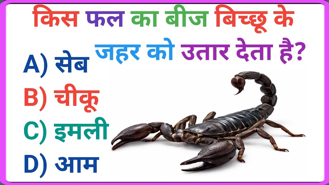 GK Question || GK In Hindi || GK Question and Answer || GK Quiz ||Brainworkgkquiz ||Upsc Exams||