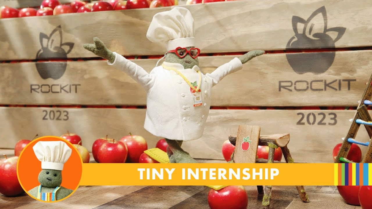 Tiny Chef | Tiny Internship