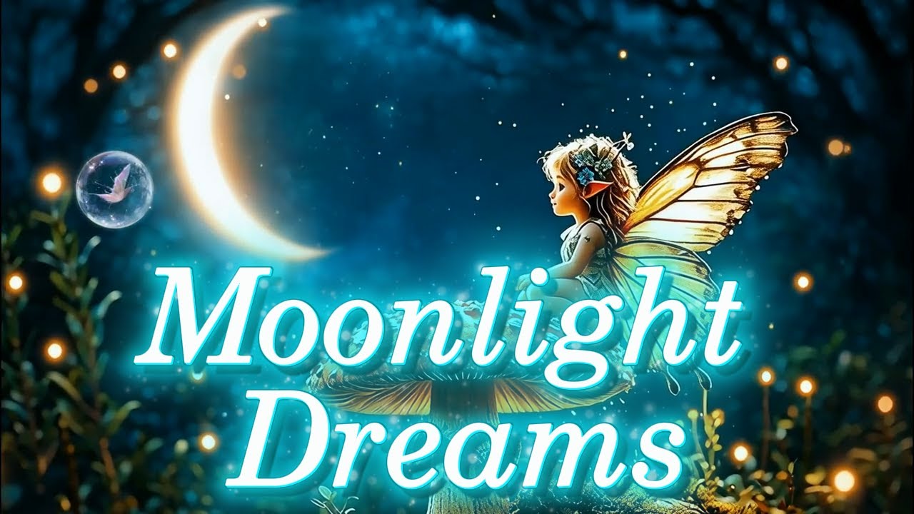 🌙✨Night of Light, Magic & Dreams✨🌙