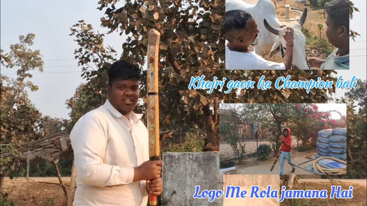 Tiger Ne Dekha Maine Kitne Six Mara Hai Cricket Mein | Tiger Don Ko Nahlana Hai