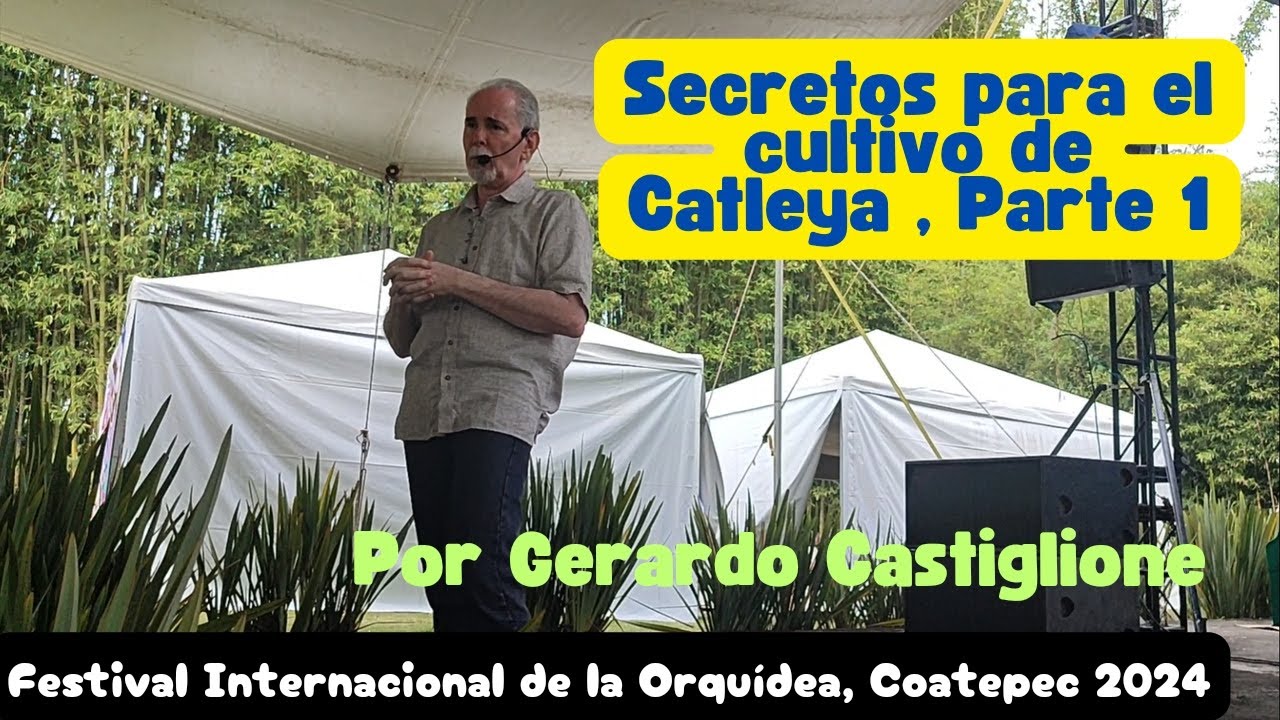 Secretos para el Cultivo de orquídea catleya, parte 1. Gerardo Castiglione.
