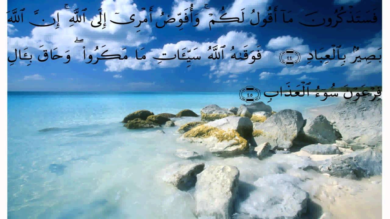 سورة غافر * بصوت علي الحذيفي