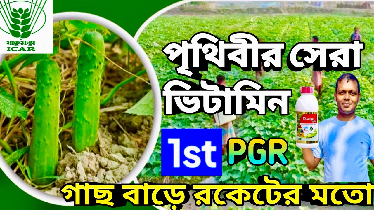 সব ভিটামিনের বাবা✅পৃথিবীর সেরা ভিটামিন 💯যে ভিটামিন কথা বলে🎁@AgricultureBook #ভিটামিন 