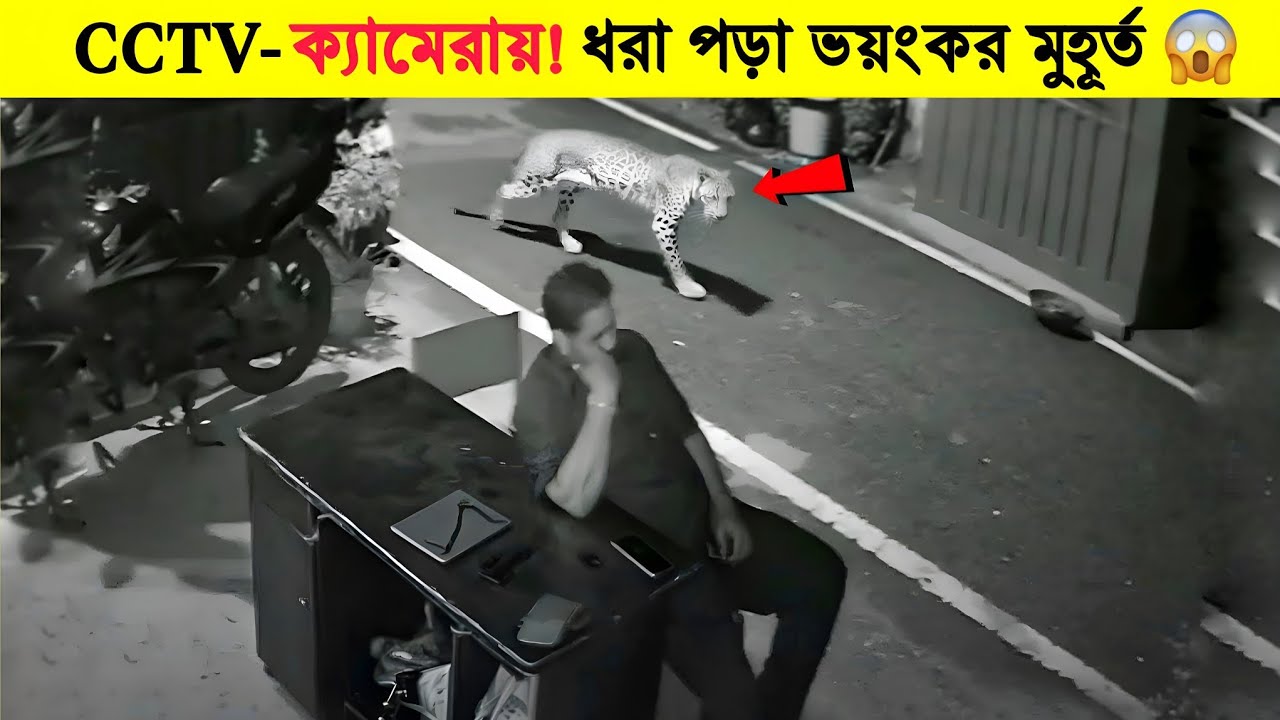 ক্যামেরায় রেকর্ড পশুদের মজার কর্মকান্ড 😂 | Funny Facts | Mayajaal | Funny Animal Moments Video
