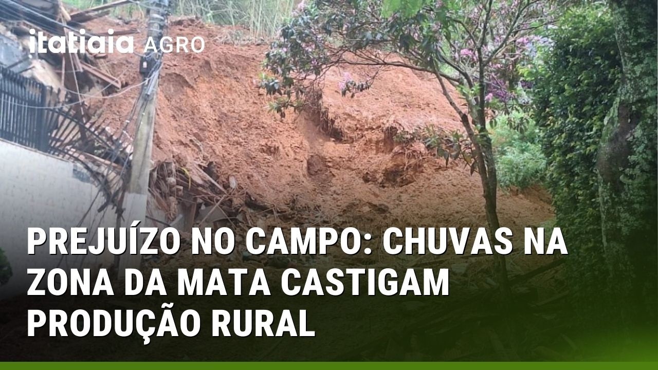 FORTES CHUVAS QUE ATINGEM A ZONA DA MATA TAMBÉM AFETAM OS PRODUTORES RURAIS