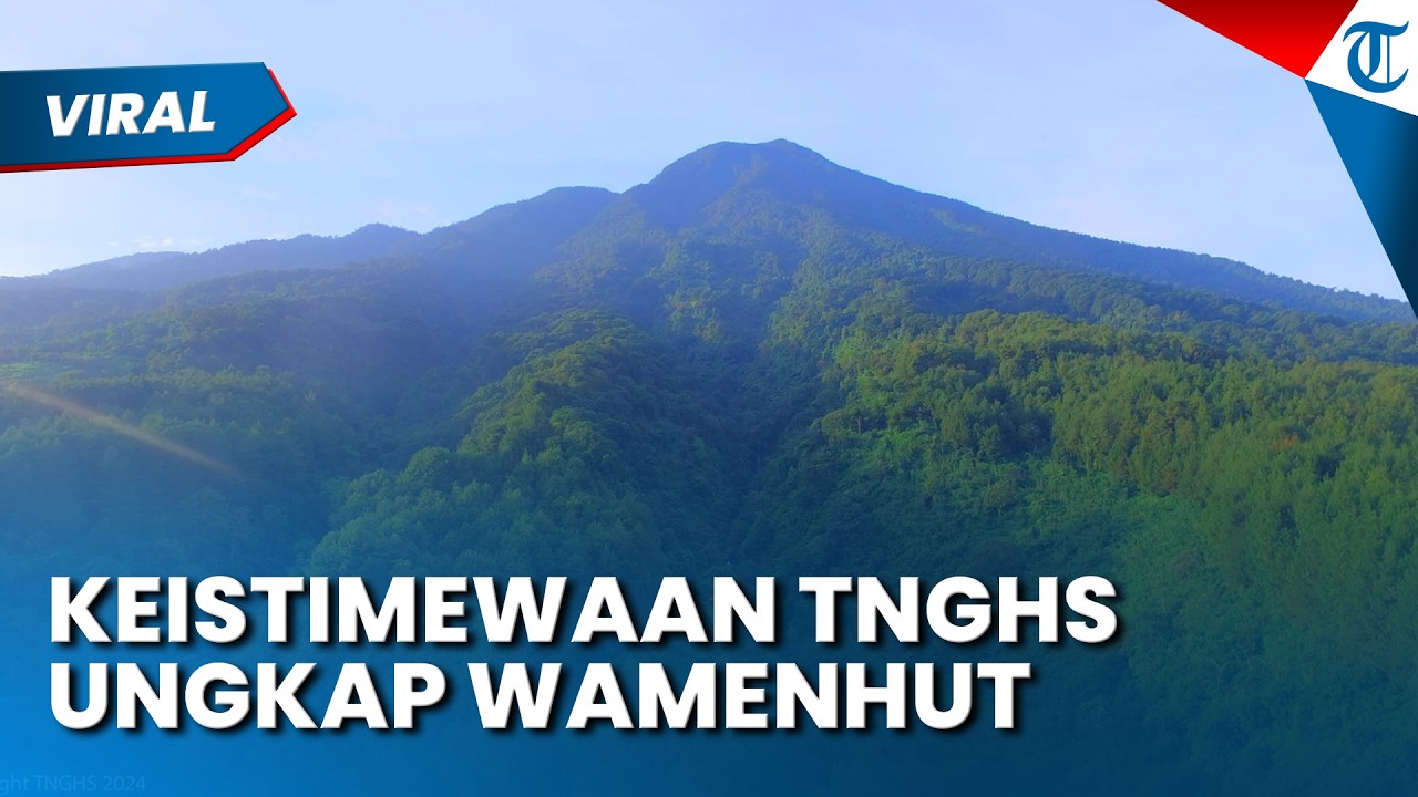 KEISTIMEWAAN TAMAN NASIONAL GUNUNG HALIMUN SALAK Diungkap Wamenhut, Rumah Satwa Langka