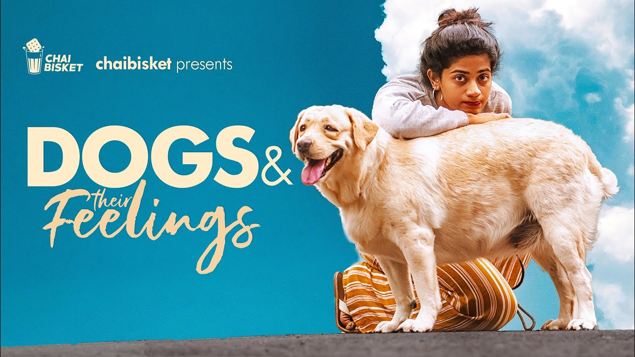 Dogs & their feelings | If Dogs Could Speak | ft. @kiraakstyle  Abhignya |Girl Formula| Chai Bisket
