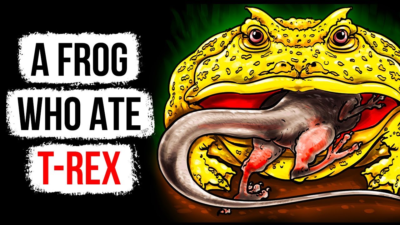This Frog's Bite Is Stronger than a Wolf, Watch Out!