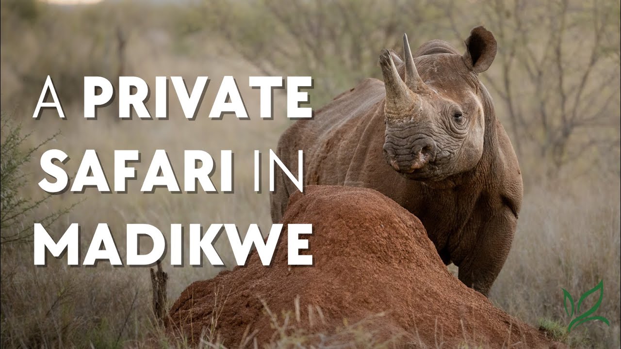 Madikwe Game Reserve