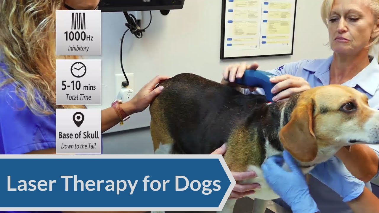 Stimulatory vs. Inhibitory Frequencies and Unwind Protocol with the ACTIVet PRO