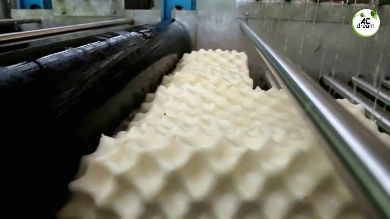Latex Pillow Process