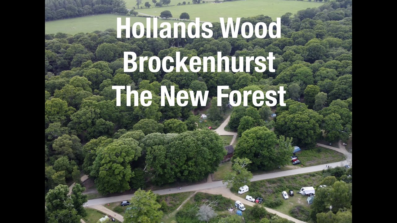 Hollands Wood | Brockenhurst | New Forest | DJI Mini 2 | GoPro Hero 7