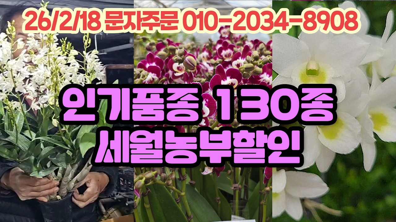 세월농부 연휴 마지막날 세일 130종 판매방송