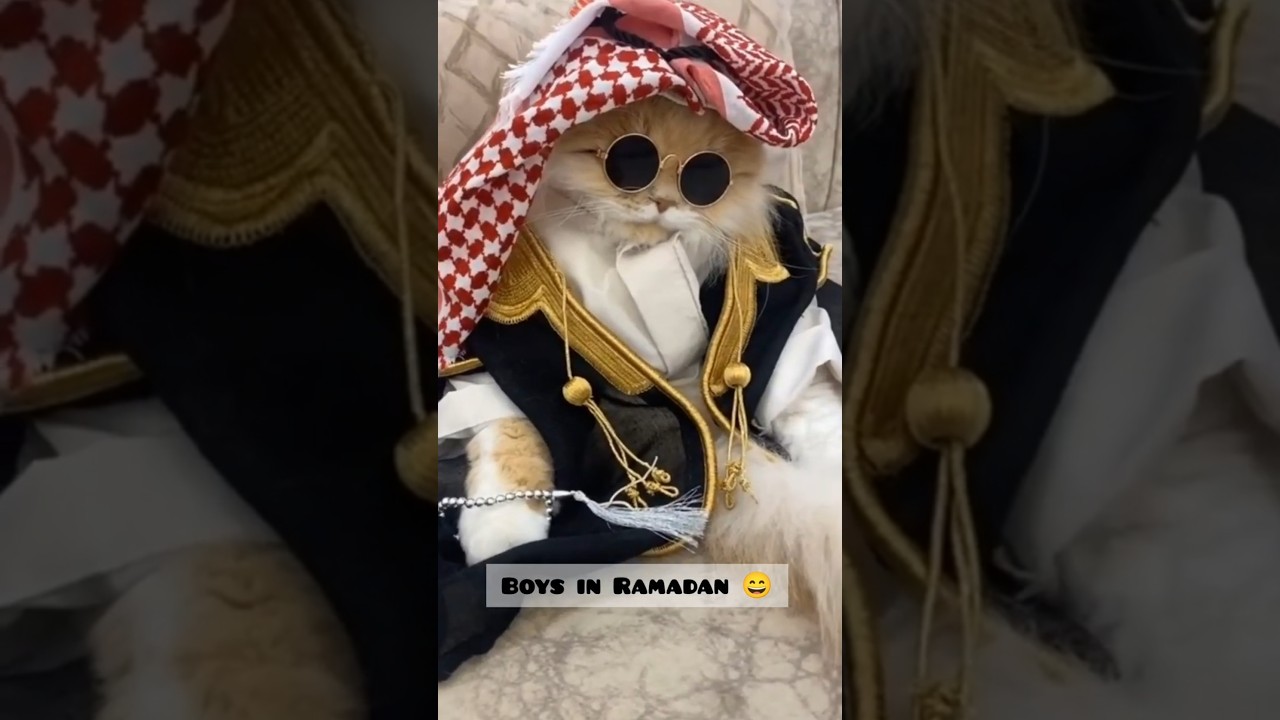 Ramzan ka Shareef 😇 Eid ka Hero 😎” Reality 🤣