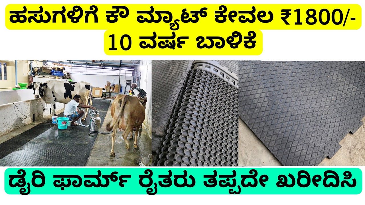 ಹಸು ಮ್ಯಾಟ್ 10 ವರ್ಷ ಬಾಳಿಕೆ ಕೇವಲ ₹2800/- ಪ್ರಾರಂಭ | cow mat for dairy farming