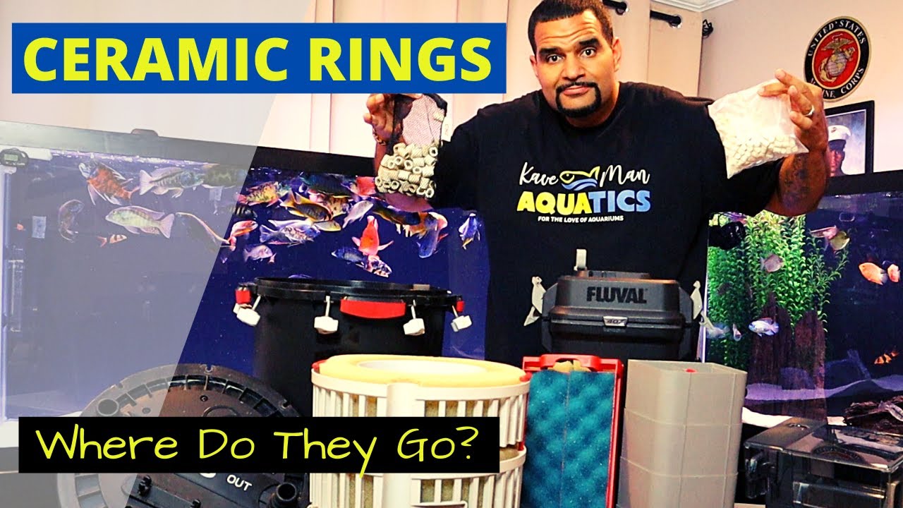 Ceramic Rings In Aquarium - Placement in 3 Different Filters (And All Your Other Media)