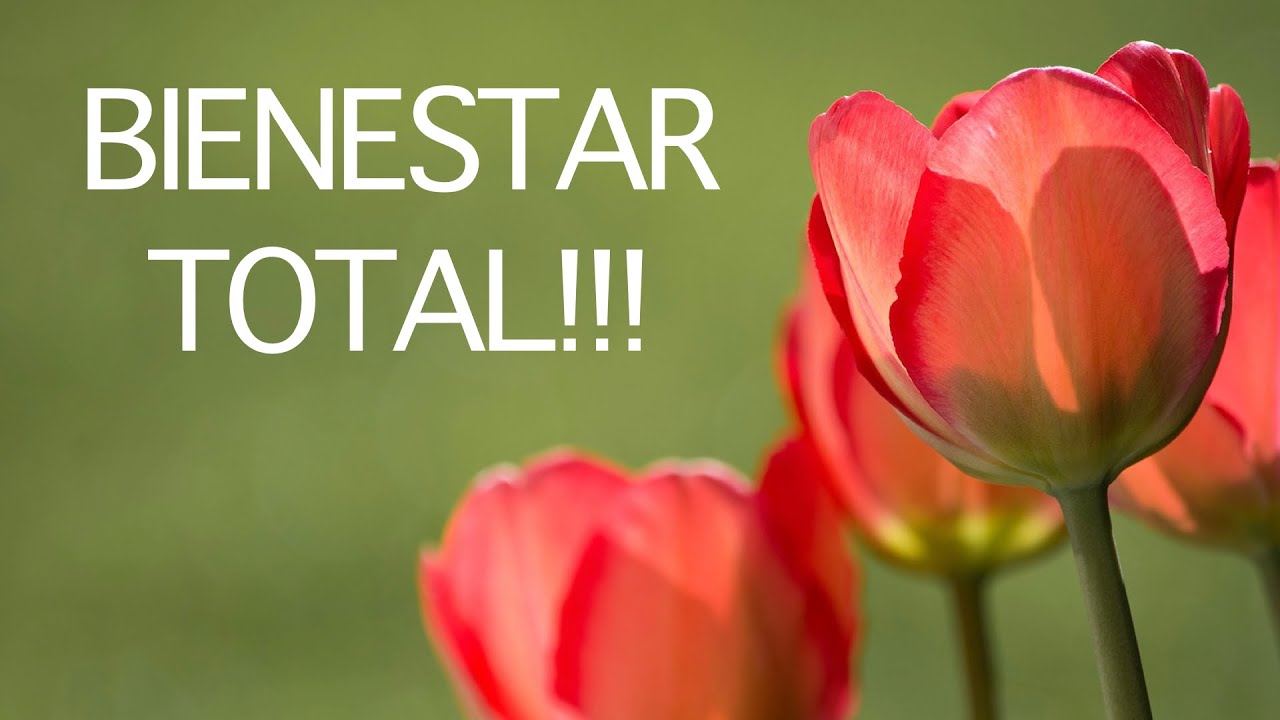 Meditación Guiada para Soltar el estrés... Funciona!!