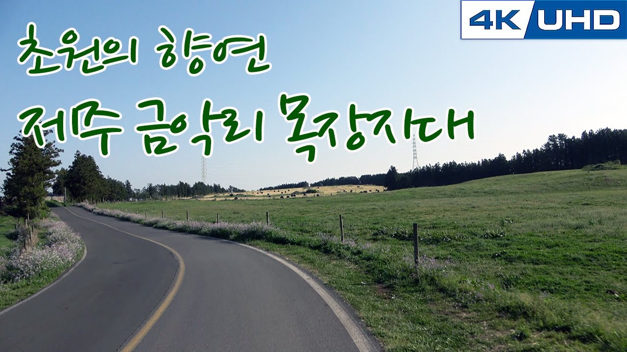 한국의길78. 초원의 향연 제주도 금악리 목장지대/Korea's Road78. Je ju-do an exotic farm scene