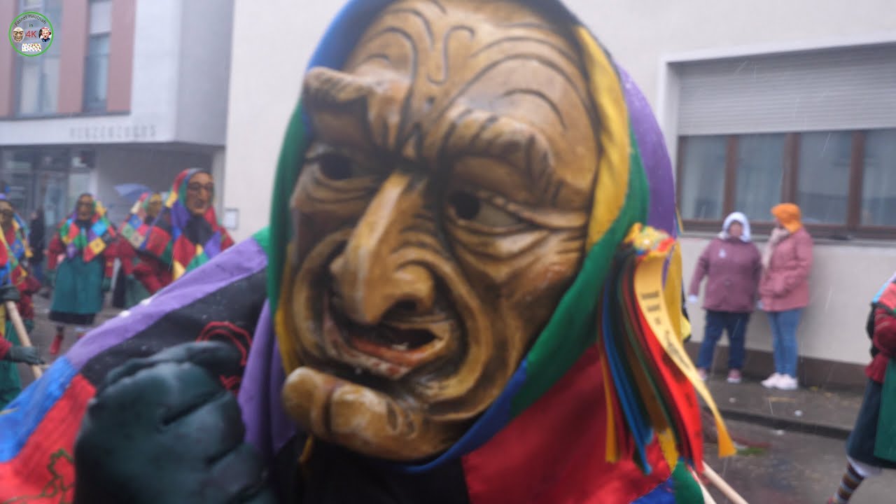 Fasnet, Narrentreffen in Sigmaringen Teil3