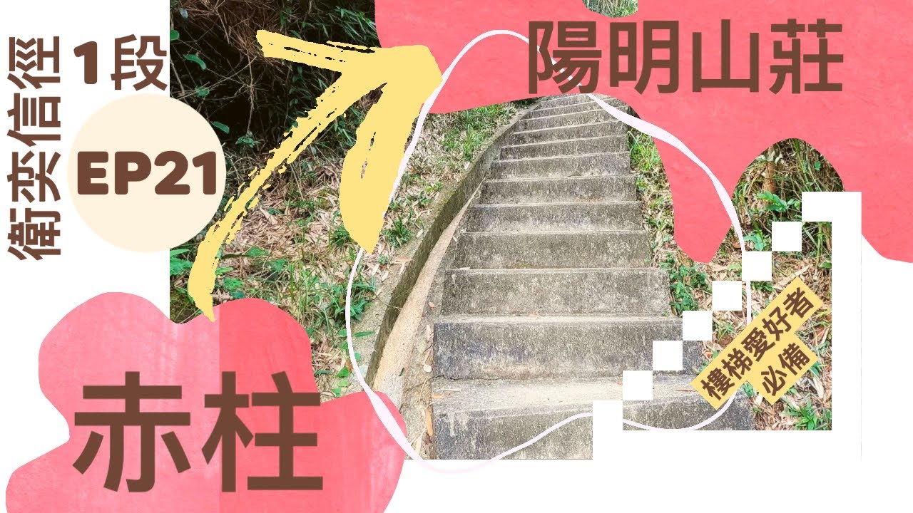 👣咪咁行◤EP21◢⛰️▶衞奕信徑◀⛰️衛奕信徑第1段🏃‍♂️赤柱⇒孖崗山⇒紫崗橋⇒紫羅蘭山⇒陽明山莊