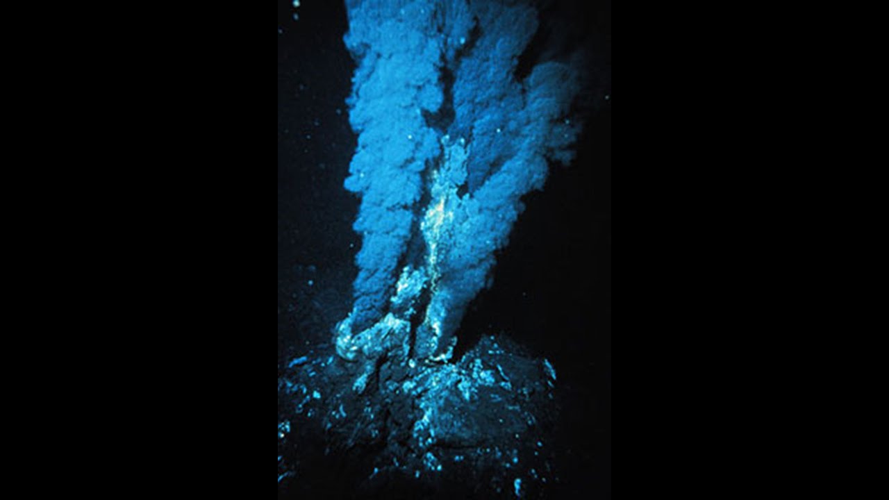 KEMOSENTEZ ve ATP HAKKINDAKİ HER ŞEY