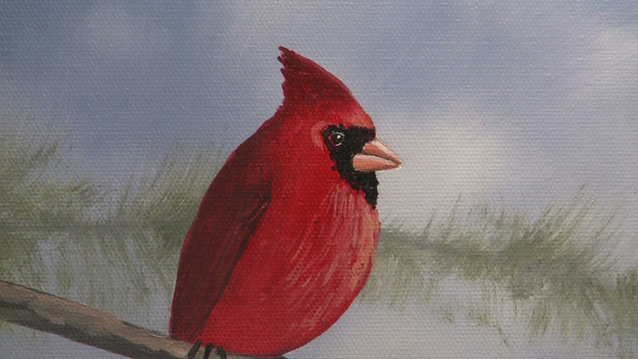 Red Cardinal, Part 1 | Painting with Wilson Bickford