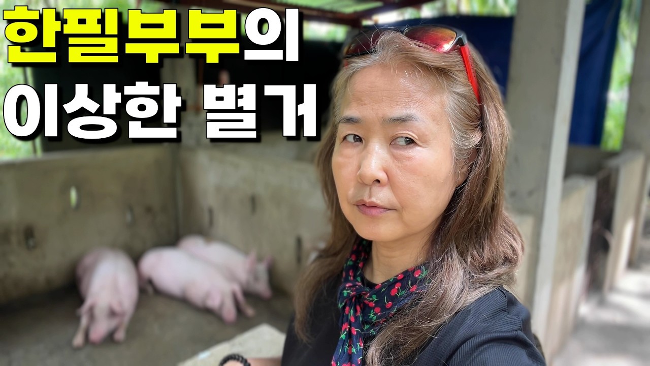 한국인 아내가 남편없이 혼자 필리핀 산골로 돌아간 이유/한필부부
