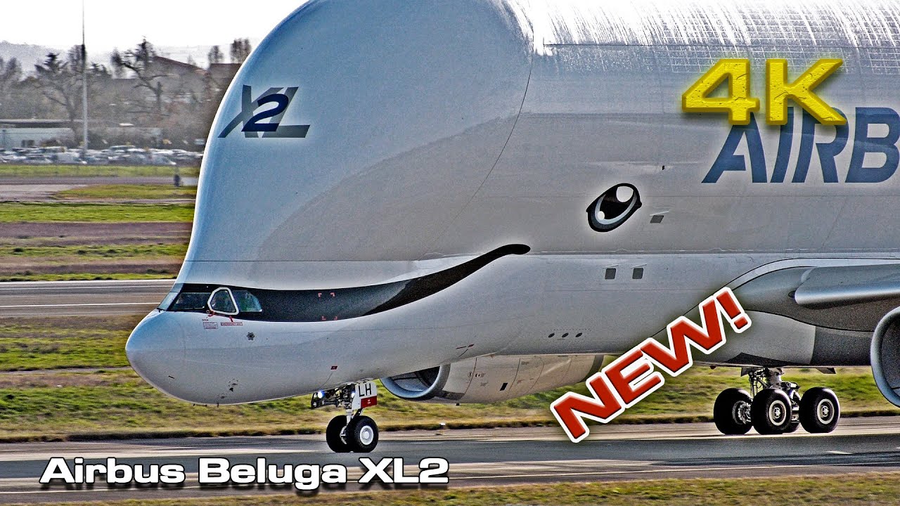New Airbus Beluga XL2 Close up! [4K 50p]
