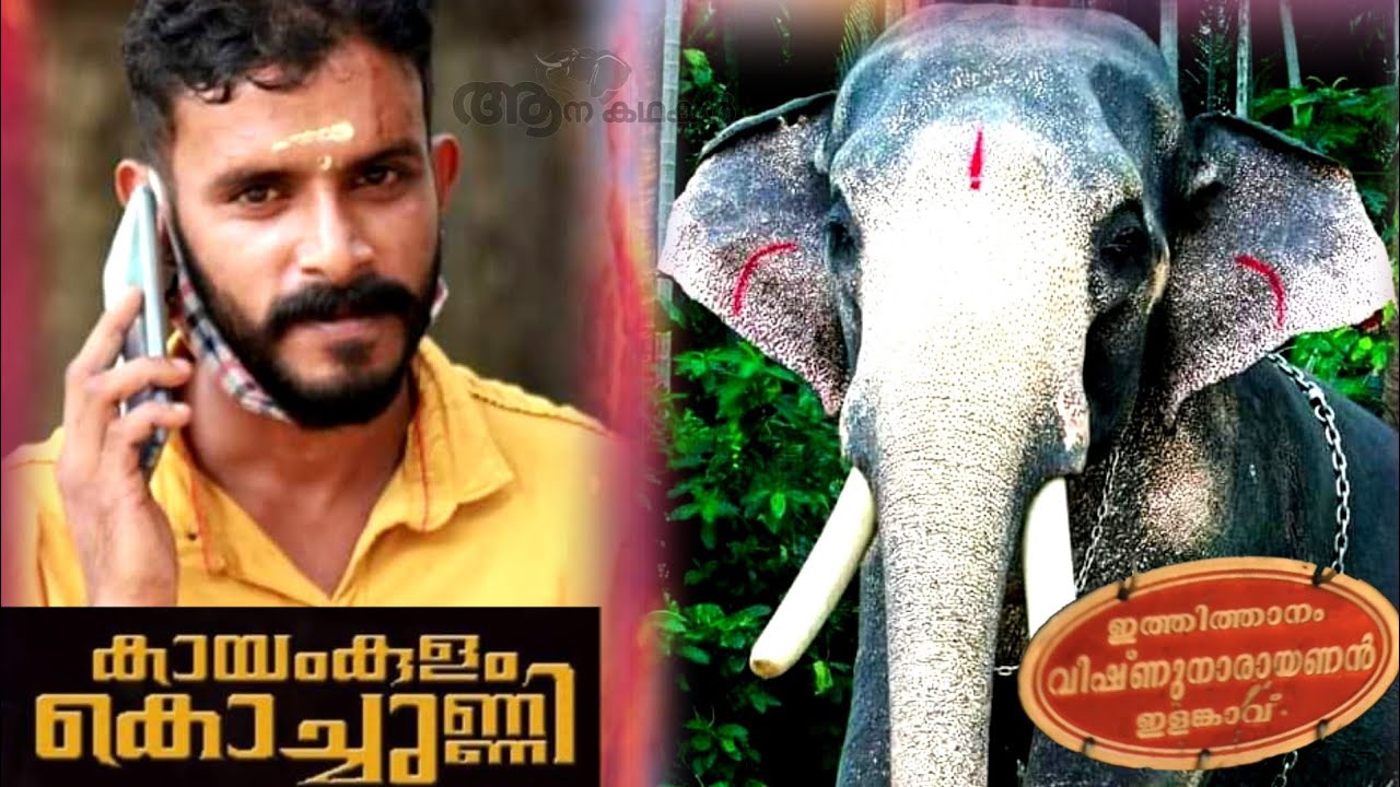 കായംകുളം ശരത്തും, ഇത്തിത്താനം വിഷ്ണുനാരായണനും| Kayamkulam sarath| ithithanam vishnu narayanan