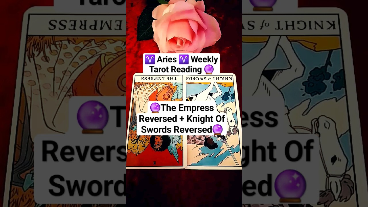 ♈ Aries ♈ Weekly Tarot Reading 13th - 19th November 2023 #weeklytarotreading #tarot #aries