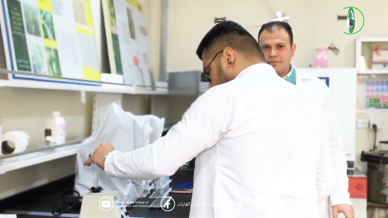 قسم وقاية النبات في كلية الزراعة والغابات نشأته وتطوره