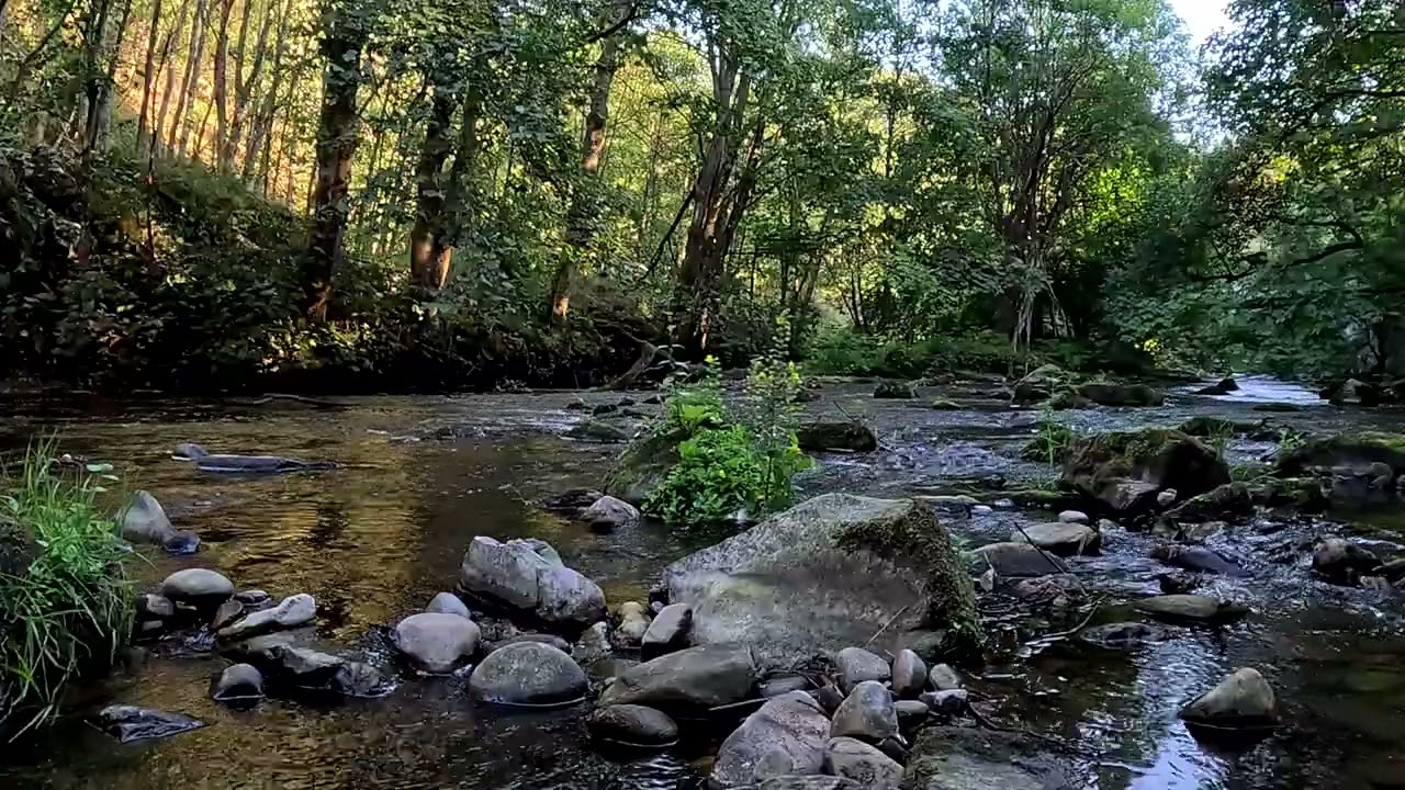 Relaxing Mountain Stream Sounds in Scotland 🌿 | Calming Nature for Sleep & Meditation